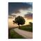 Lumaprints Tuscan Farm Road Sunrise No.2 Canvas Wall Art